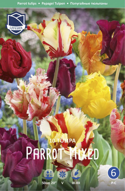 Тюльпан попугайный смесь (Tulipa Parrot Mixed), 10 шт (разбор 11/12)