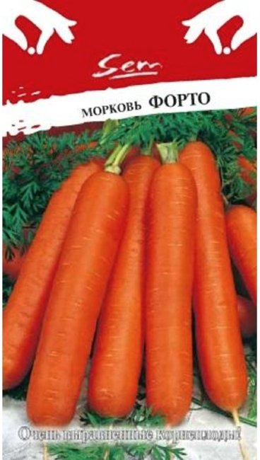 Морковь Форто, 2 г