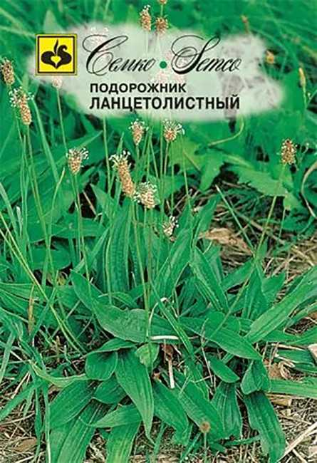 Подорожник Ланцетолистный, 0.5 г