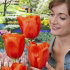 Тюльпан Джаент Оранж Санрайз (Tulipa Giant Orange Sunrise), 5 шт (разбор 16/18!)