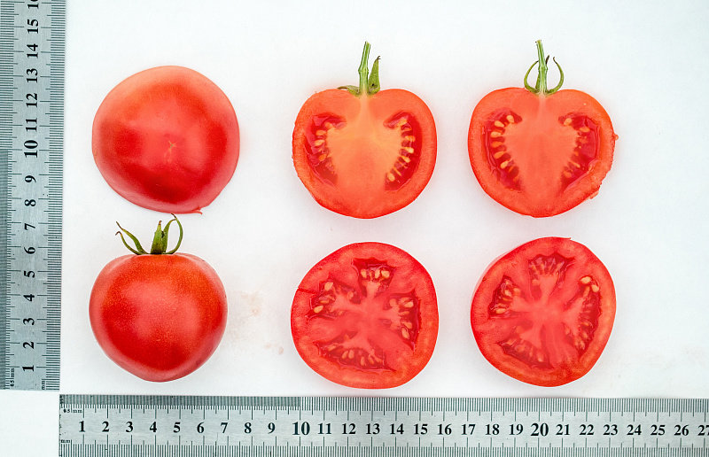 Купить томат лимеренс f1, 0.05 г по цене 130 руб. в интернет магазине\