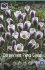 Крокус Принц Клаус (Crocus Prins Claus), 25 шт (разбор 5/7)
