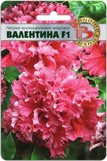 Петуния крупноцветковая махровая Валентина F1, 10 шт семян