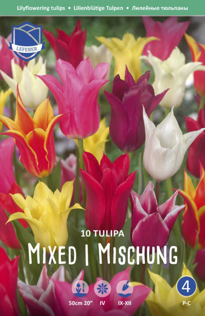 Тюльпан лилиецветный смесь (Tulipa Lily-flowered Mixed), 10 шт (разбор 12/14)