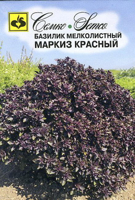Базилик Маркиз красный, 20  шт семян