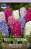 Гиацинт смесь сортов (Hyacinthus Mixed), 3 шт (горшечный, разбор 18/19!)