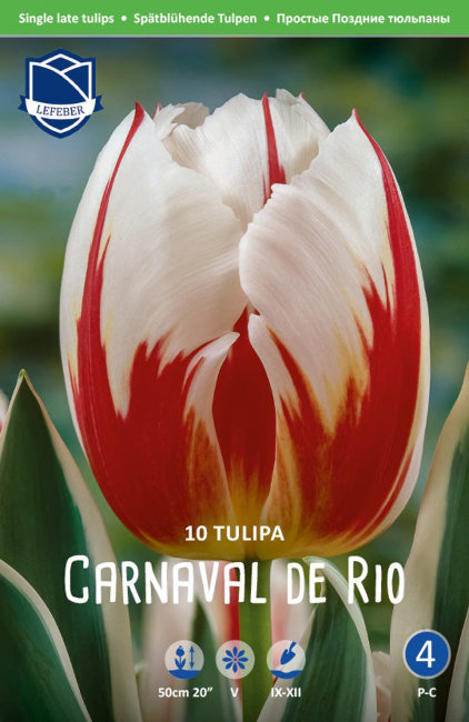 Тюльпан Карнавал де Рио (Tulipa Carnaval de Rio), 10 шт (разбор 12/14)
