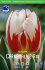 Тюльпан Карнавал де Рио (Tulipa Carnaval de Rio), 10 шт (разбор 12/14)