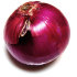 onion-darwin-bellgh.jpg
