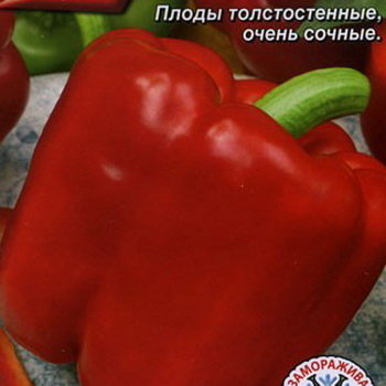 Перец сладкий Царевич, 20 шт семян