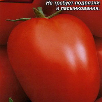 Томат Челнок 