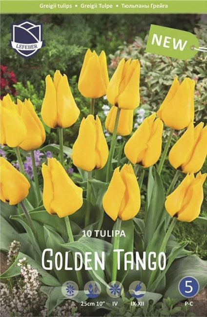 Тюльпан Голден Танго (Tulipa Golden Tango), 10 шт (разбор 11/12)