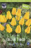 Тюльпан Голден Танго (Tulipa Golden Tango), 10 шт (разбор 11/12)