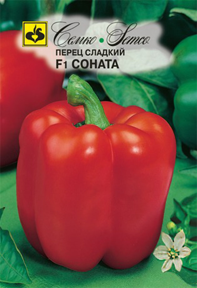 Семена Семко Купить В Интернет