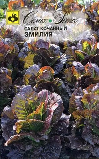 Салат Эмилия кочанный, 0.5 г