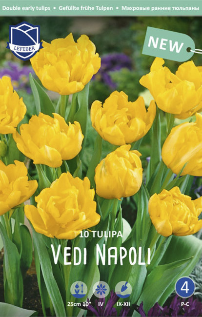 Тюльпан Веди Наполи (Tulipa Vedi Napoli), 10 шт (разбор 11/12)
