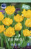 Тюльпан Веди Наполи (Tulipa Vedi Napoli), 10 шт (разбор 11/12)
