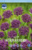 Аллиум Атропурпуреум (Allium atropurpureum), 5 шт (разбор 10/12)