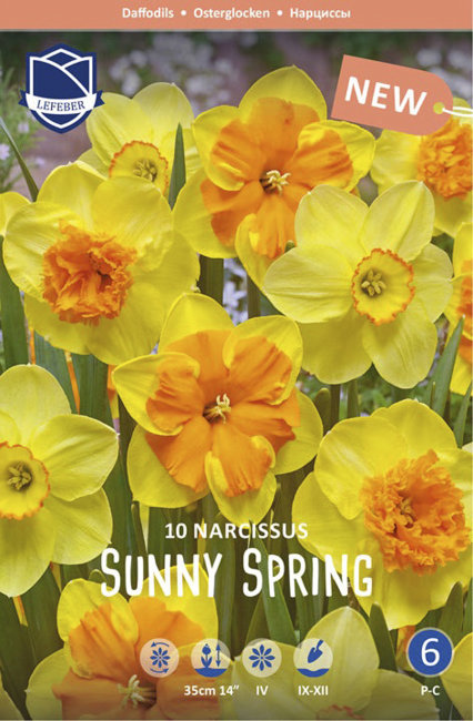 Нарцисс Санни Спринг смесь (Narcissus Sunny Spring), 10 шт