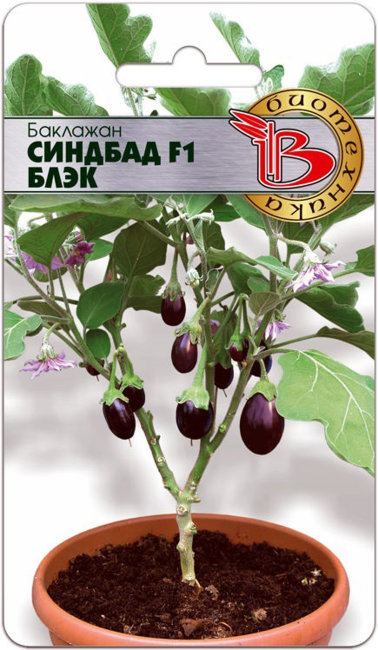 Баклажан Синдбад F1 Блэк, 5 шт семян