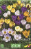 Крокус ботанический смесь (Crocus species Mixed), 25 шт (разбор 5/7)