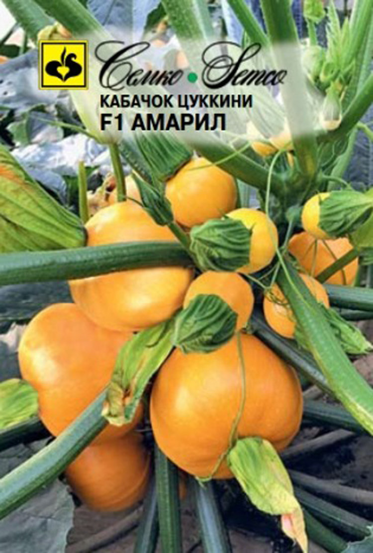 Купить кабачок цуккини амарил f1, 5 шт семян по цене 120 руб. в интернет магазине "Первые Семена"