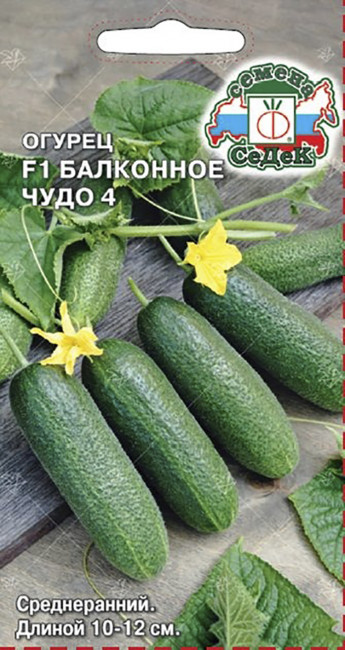 Огурец Балконное Чудо 4 F1, 0.2 г