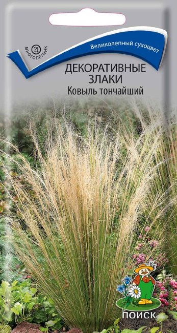 ковыль_тонч.jpg