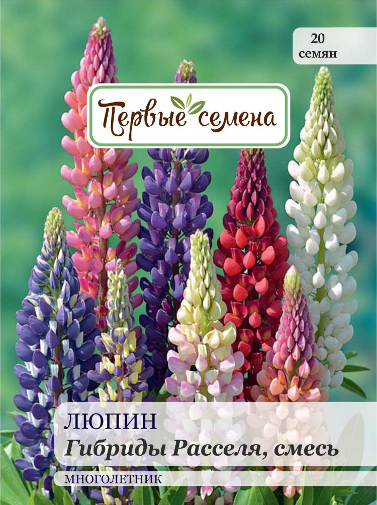 Люпин Семена Купить Цена