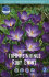 Крокус Руби Джаент (Crocus tommasinianus Ruby Giant), 25 шт (разбор 5/7)