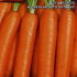 Морковь Карамелька (лента 8 м)