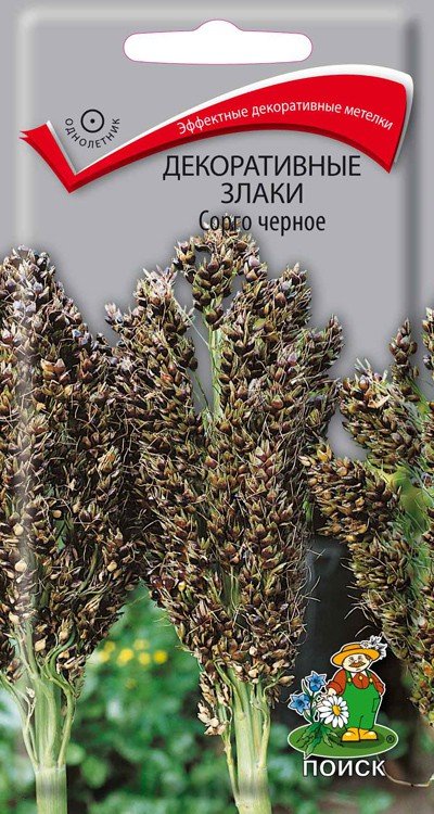 Где Купить Семена Сорго