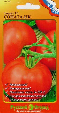 Томат Соната-НК описание сорта помидоров характеристики посадка и выращивание болезни и вредители отзывы