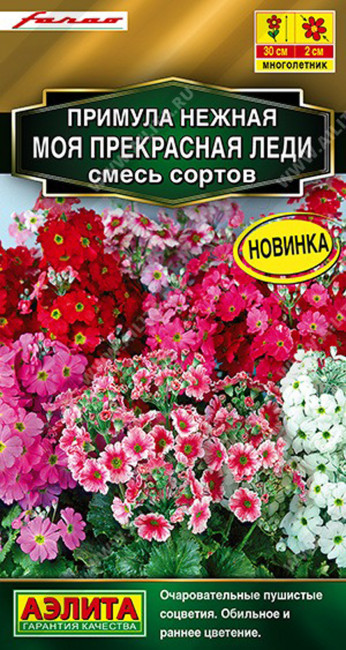 Примула нежная Моя прекрасная леди, смесь, 7 шт семян