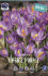 Крокус Барр'c Пепл (Crocus Barr's Purple), 25 шт (разбор 5/7)