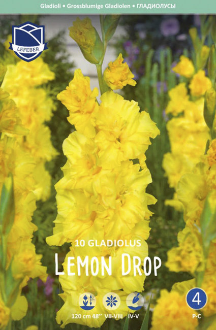 Гладиолус Лемон Дроп (Lemon Drop), 10 шт