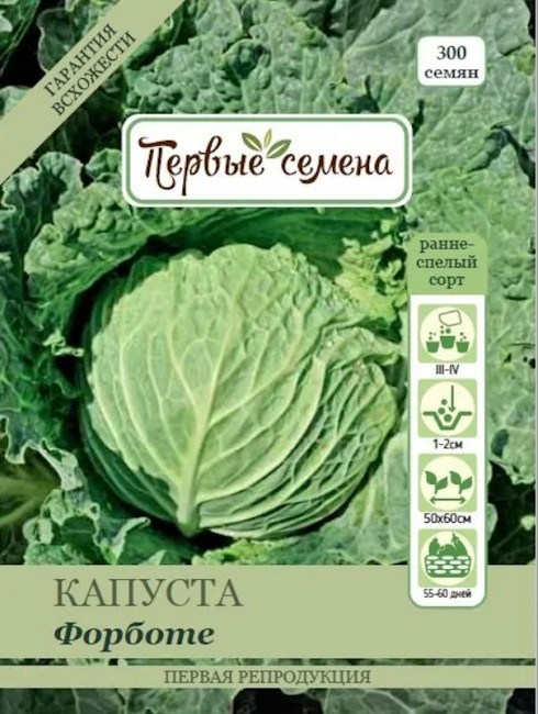 Капуста савойская Форботе
