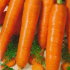 Морковь Варвара краса (лента 8 м)