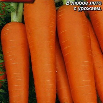 Морковь Каротин супер