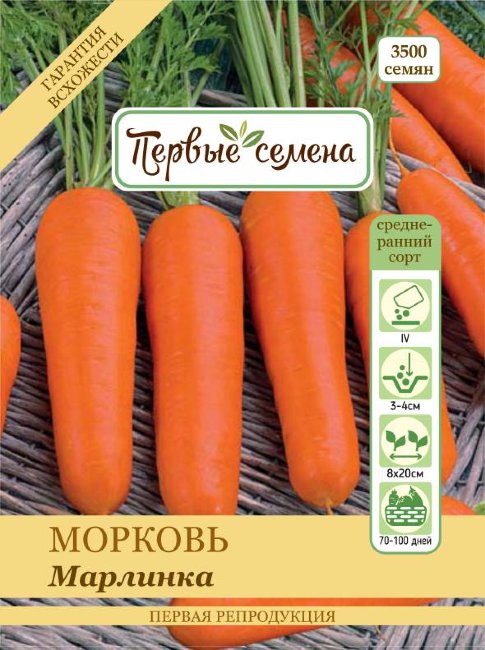 Морковь Марлинка