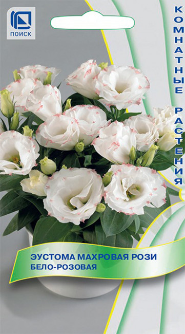 Эустома махровая Рози Бело-розовая, 5 шт семян
