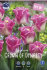 Тюльпан Кроун оф Династи (Tulipa Crown of Dynasty), 10 шт (разбор 12/14)