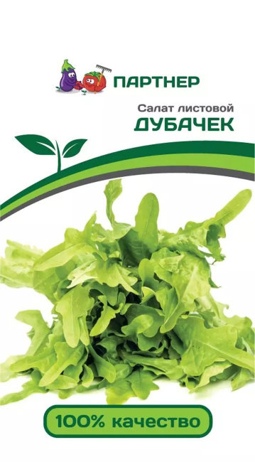 Салат Дубачек МС, листовой, 0.5 г