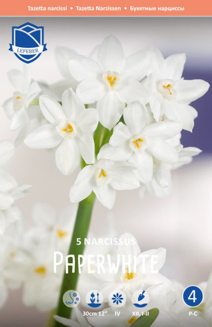 Нарцисс Пейпер Уайт (Narcissus tazetta Paperwhite), 5 шт (разбор 15/16)