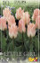 Тюльпан Литтл Гел (Tulipa Little Girl), 10 шт (разбор 11/12)