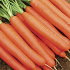 Морковь Мармеладка (лента 8 м)