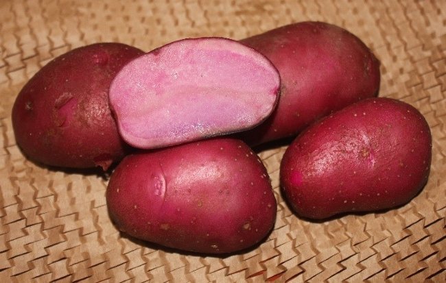 Картофель семенной Сюрприз (1 кг)