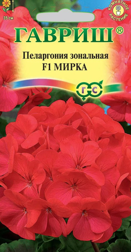 Пеларгония Купить В Магазинах Москвы