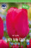 Тюльпан Леди Ван Эйк (Tulipa Lady van Eijk), 10 шт (разбор 12/14)
