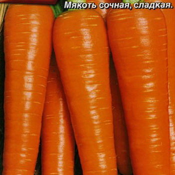 Морковь Королева осени (драже), 300 шт